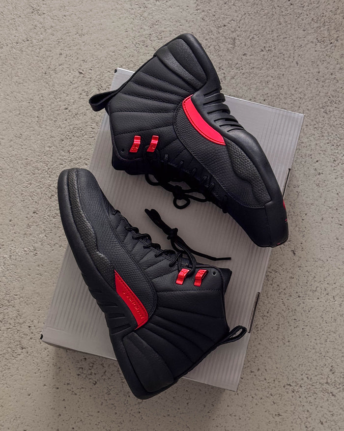 Nike Air Jordan 12 Retro onfeet