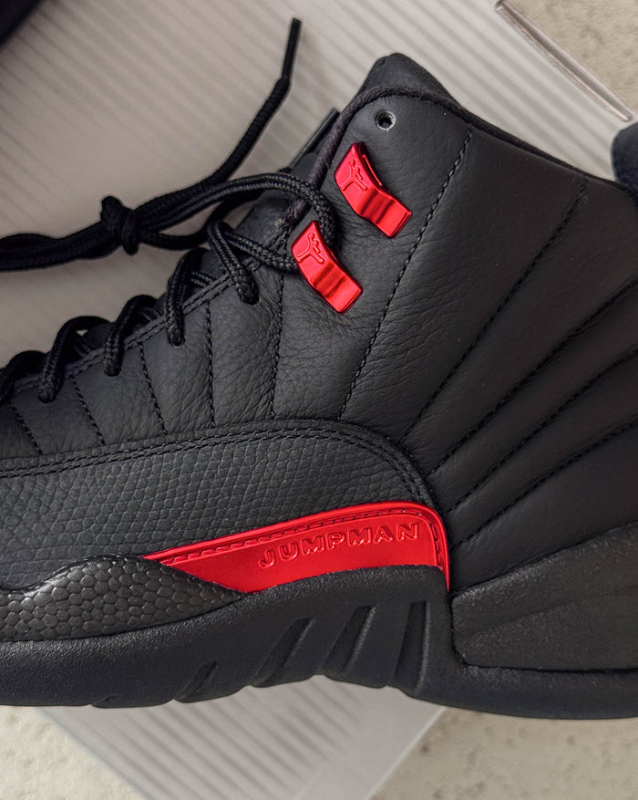 Nike Air Jordan 12 Retro onfeet