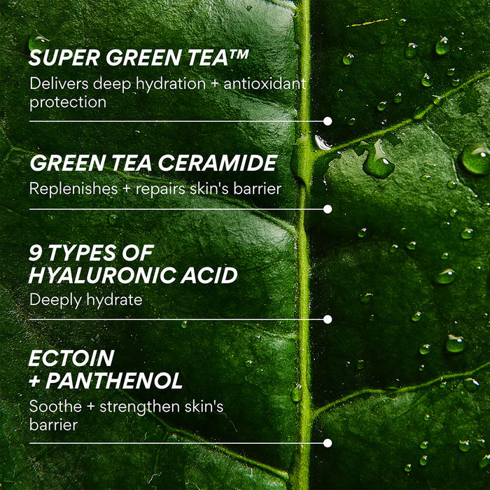 Green Tea Ceramide Mist ingredient list