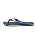 Havaianas Brasil Logo