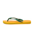 Havaianas Brasil Logo