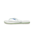 Havaianas Brasil Logo