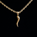 Italian Horn Pendant in Yellow Gold