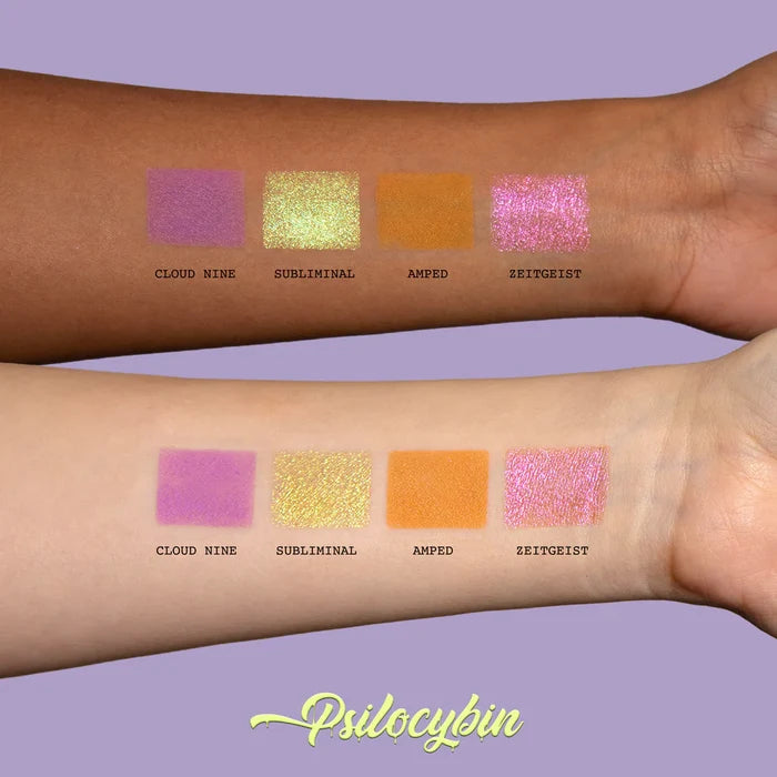 Masterclass Psilocybin Cheek Palette Version I - Blend Bunny Cosmetics