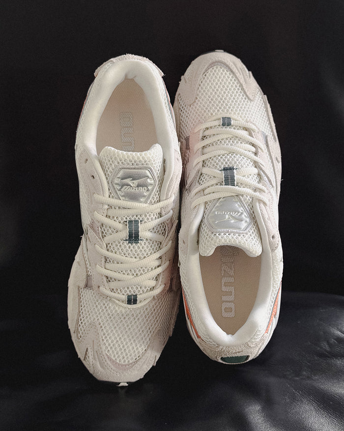 Mizuno Wave Rider 10 Premium onfeet