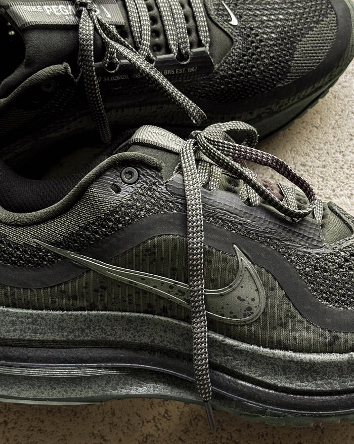Nike Pegasus Premium onfeet