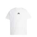 Adidas	Running Category Graphic T-Shirt