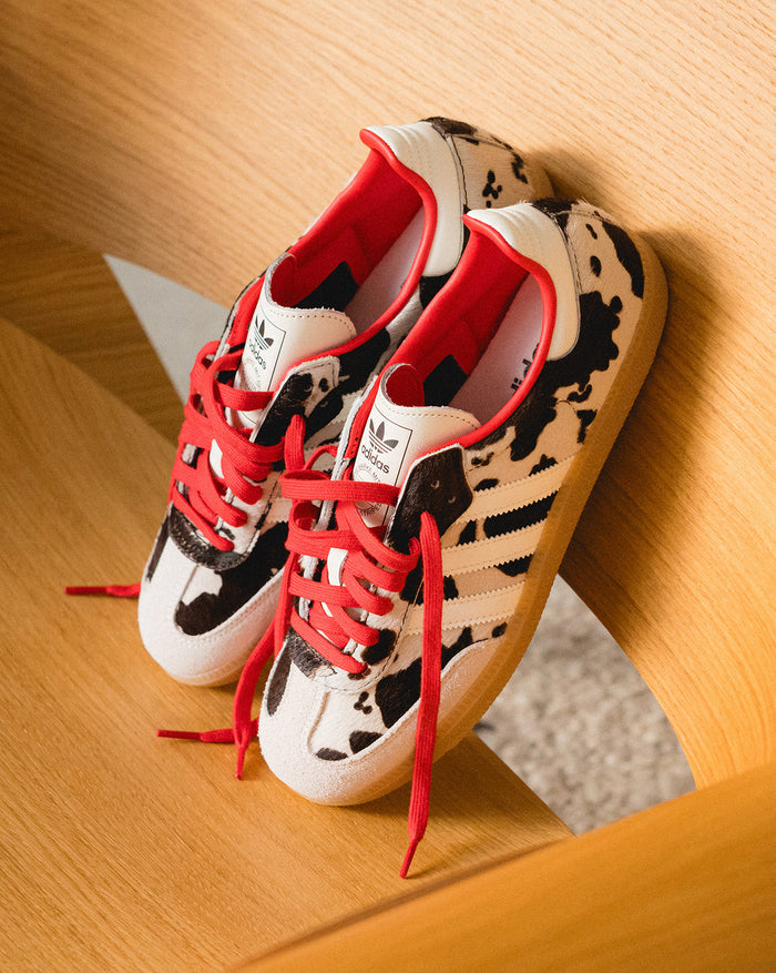 Adidas Samba OG W *Cow* onfeet
