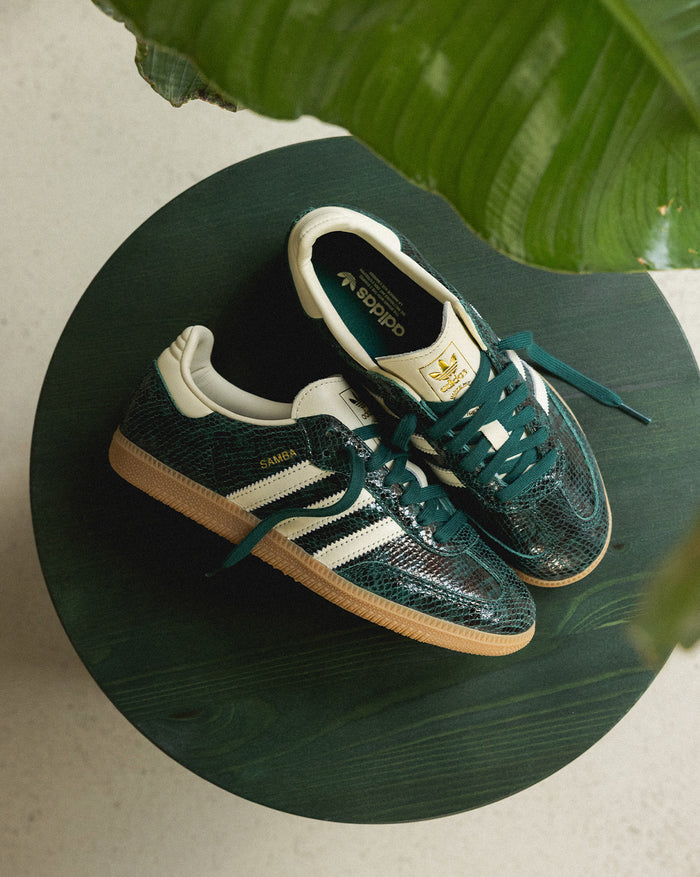 Adidas Samba OG W onfeet