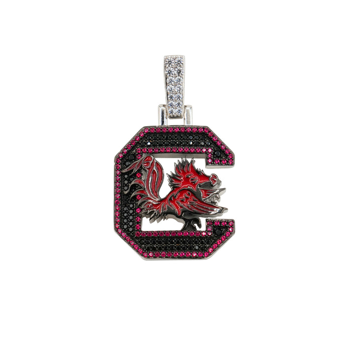 South Carolina Gamecocks Logo