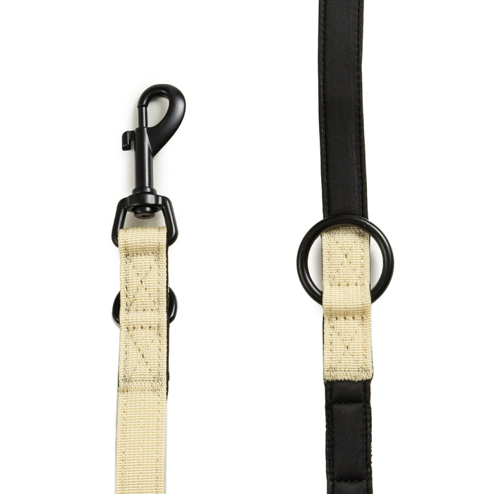 Trekk Dog Leash