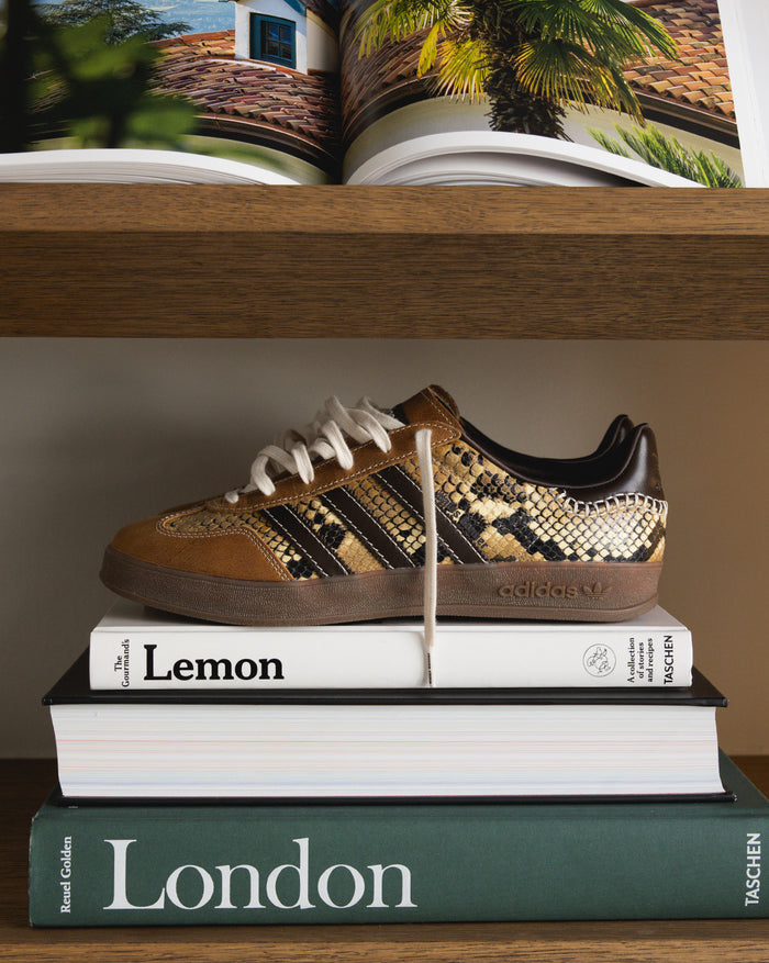 Adidas x Wales Bonner Gazelle *Snake* onfeet